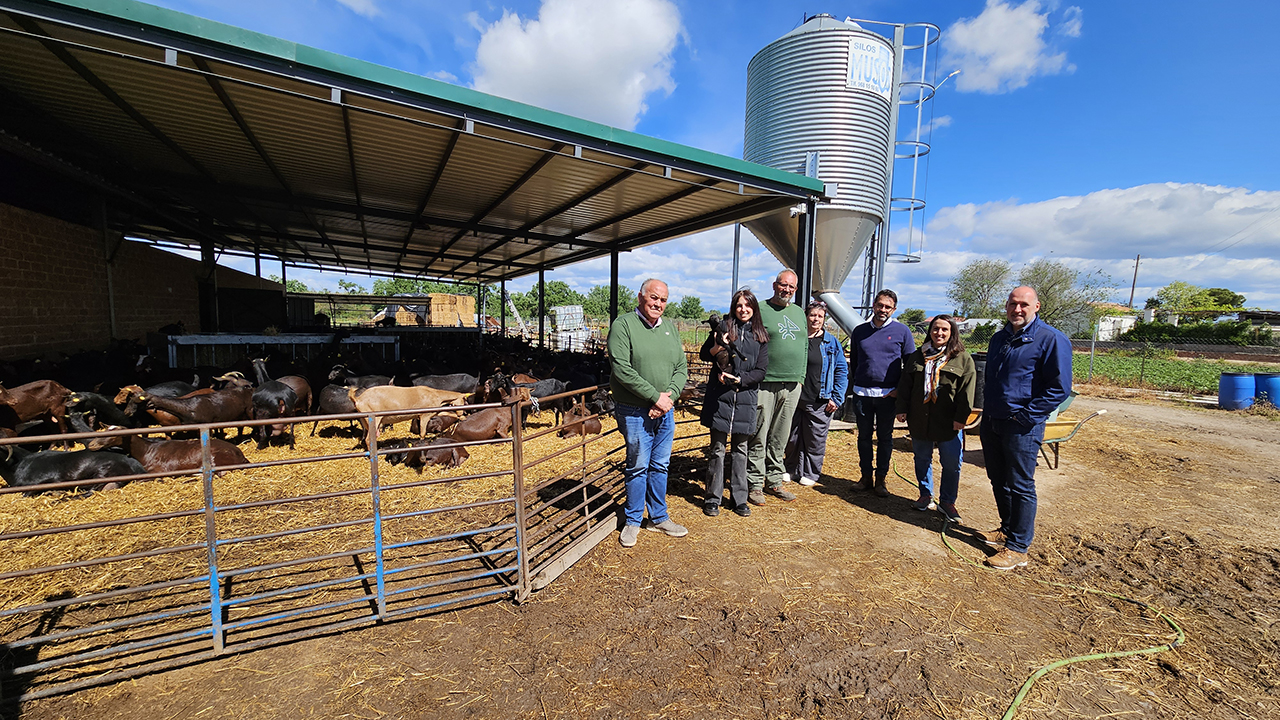 La Junta destaca el papel de la ganadería caprina en el desarrollo del medio rural, la fijación de población y la conservación del entorno