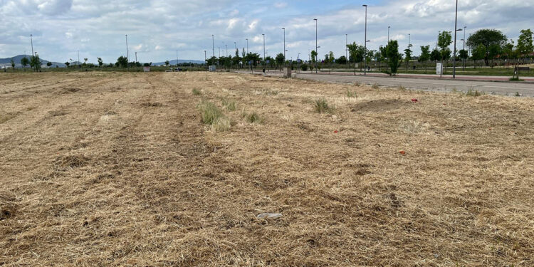 Los propietarios de parcelas en Azuqueca tienen hasta el 31 de mayo para acometer labores de mantenimiento y limpieza
