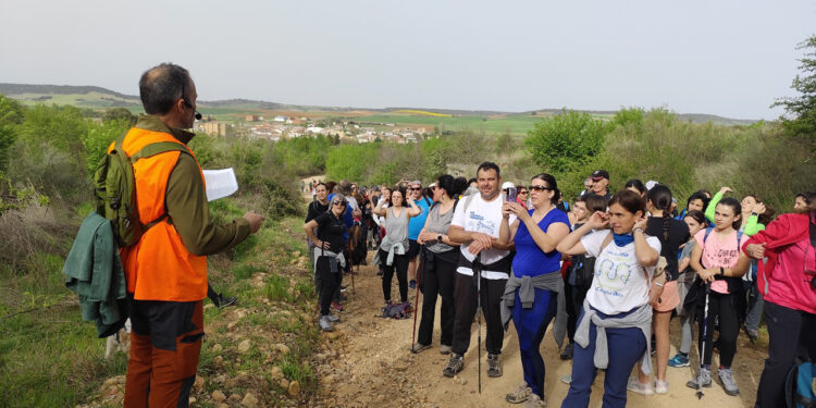 Más de 180 senderistas unen, de la mano de Campiñeando, Málaga del Fresno y Robledillo de Mohernando