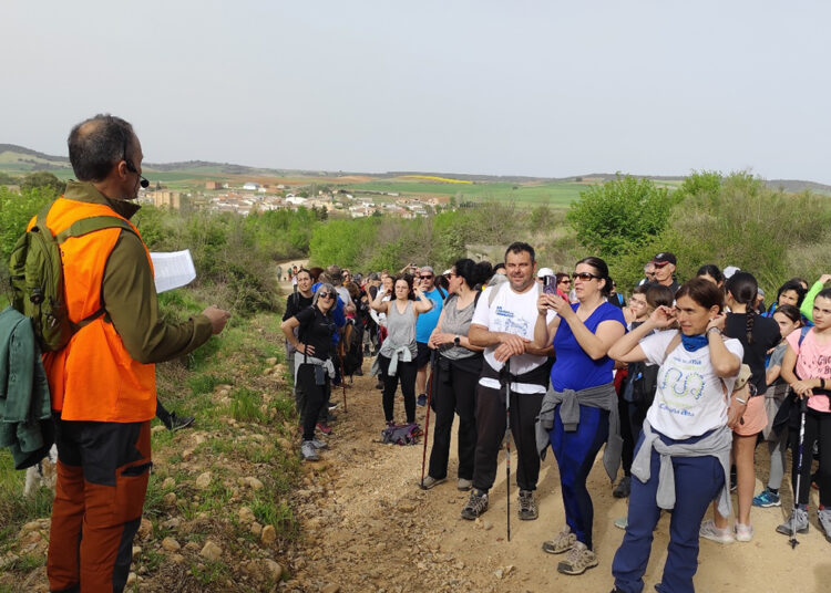 Más de 180 senderistas unen, de la mano de Campiñeando, Málaga del Fresno y Robledillo de Mohernando