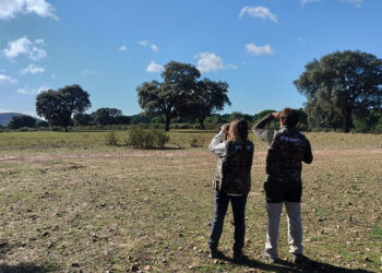 Nueva campaña de censos de tórtola y codorniz en el Observatorio Cinegético