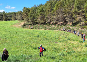 Todo a punto para la XV edición de la Ruta de la Lana de Albendea