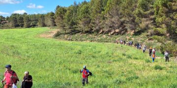 Todo a punto para la XV edición de la Ruta de la Lana de Albendea