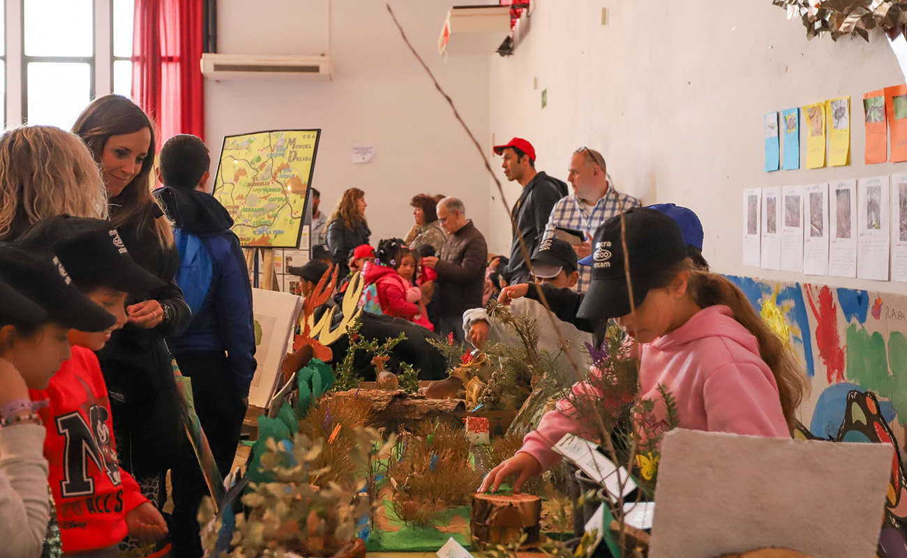 Trescientos escolares de tres comunidades autónomas muestran el valor científico de los saberes tradicionales en la II Feria ItineraSTEAM+ en Tragacete