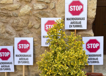 Turmiel se levanta en masa contra las macrogranjas de AVIAGEN proyectadas en su entorno