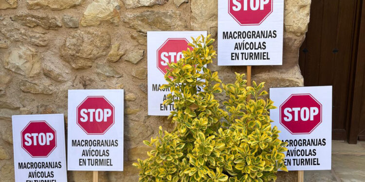 Turmiel se levanta en masa contra las macrogranjas de AVIAGEN proyectadas en su entorno