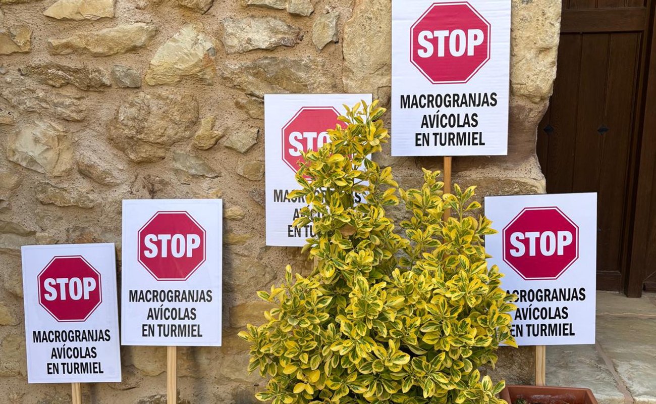 Turmiel se levanta en masa contra las macrogranjas de AVIAGEN proyectadas en su entorno