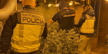 Un vecino de Parque Las Castillas destapa una plantación con 521 plantas de marihuana en Torrejón del Rey