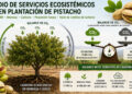 ADIMAN realiza un estudio para determinar la capacidad de absorción de CO2 en los cultivos de pistachos