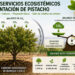 ADIMAN realiza un estudio para determinar la capacidad de absorción de CO2 en los cultivos de pistachos