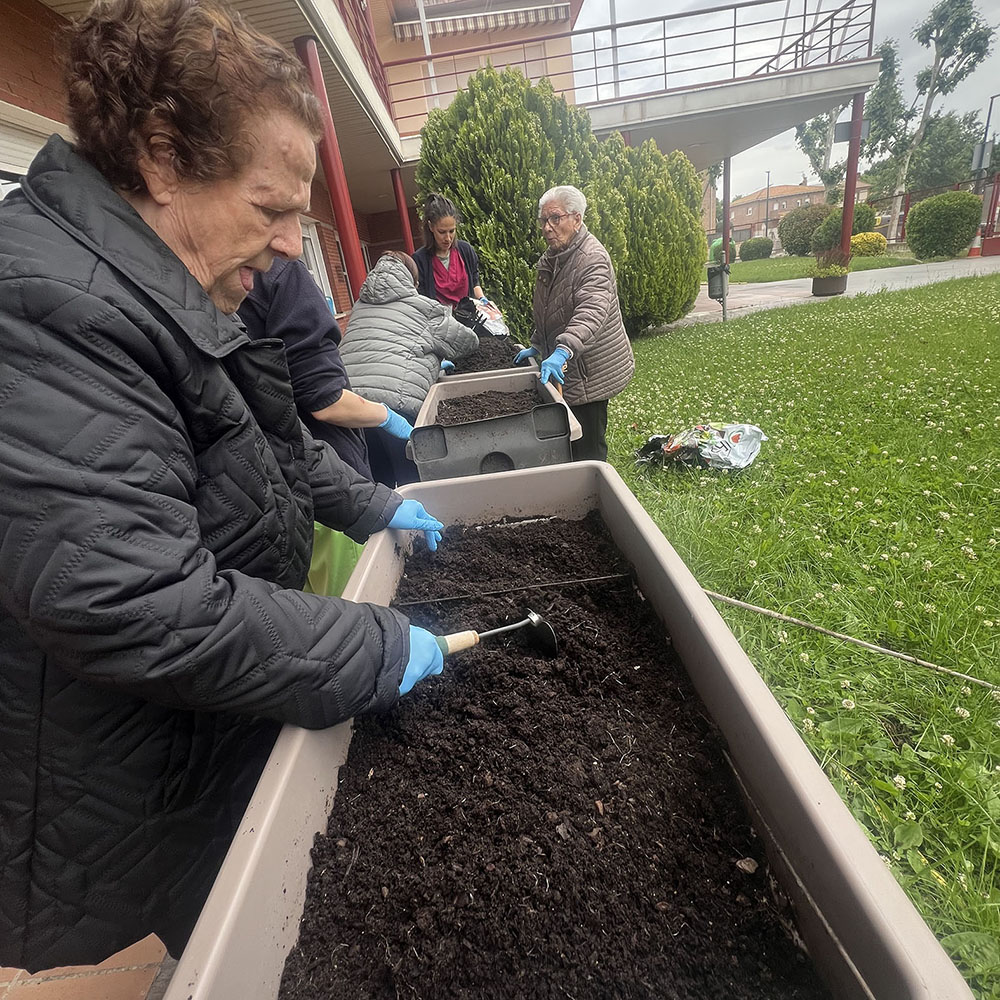 Arranca la cuarta temporada del huerto del Centro de Mayores de Cabanillas