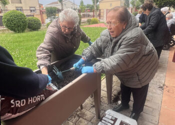 Arranca la cuarta temporada del huerto del Centro de Mayores de Cabanillas