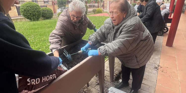 Arranca la cuarta temporada del huerto del Centro de Mayores de Cabanillas