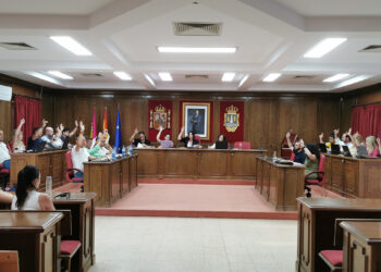 Azuqueca aprueba por unanimidad la adaptación de la ordenanza municipal de los Vehículos de Movilidad Personal 7 Azuqueca aprueba por unanimidad la adaptación de la ordenanza municipal de los Vehículos de Movilidad Personal