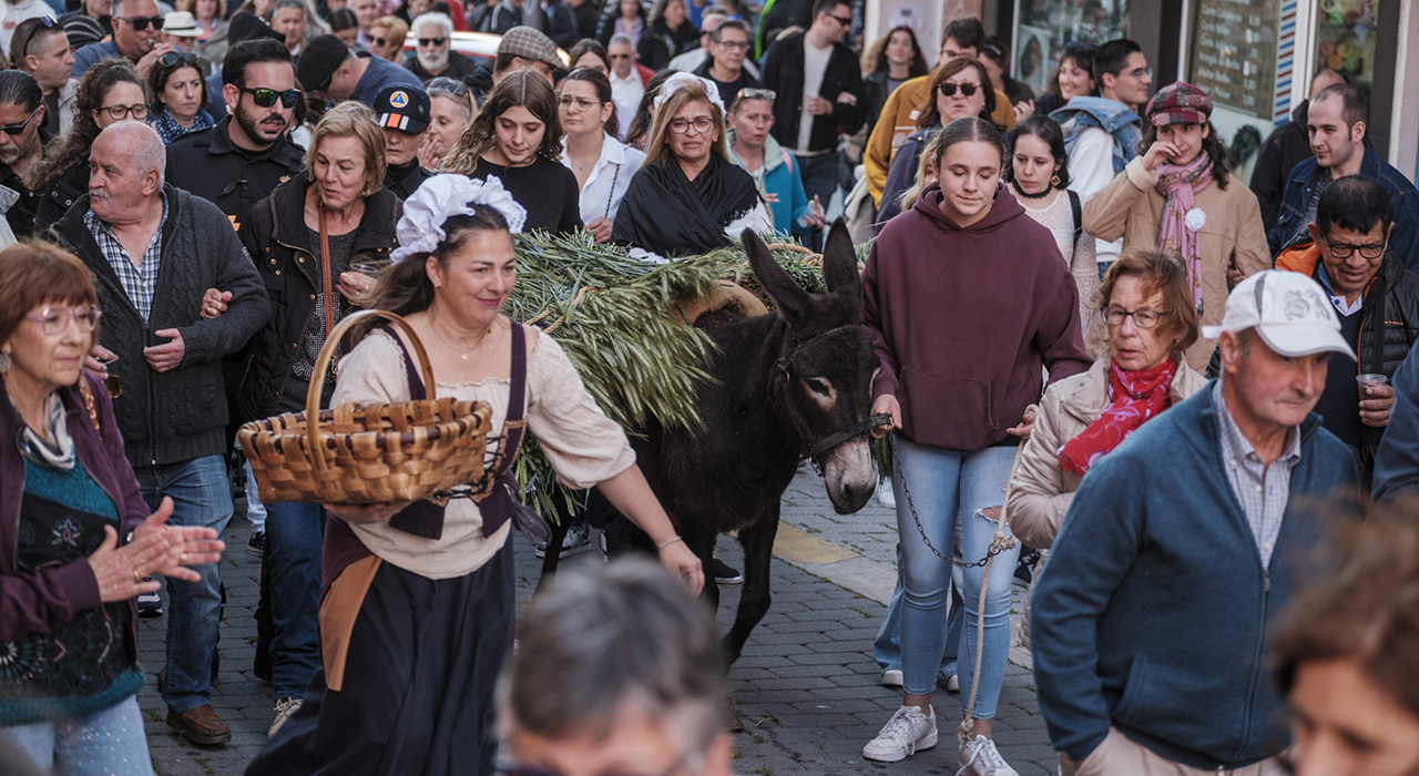 Azuqueca cierra un San Isidro multitudinario: 1.600 ciclistas y éxito total de la Fiesta de La Espiga 2 Azuqueca cierra un San Isidro multitudinario 1.600 ciclistas y éxito total de la Fiesta de La Espiga