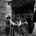 Spot. Este viernes, “En un lugar de la Mancha” llegamos a los capítulos 45 y 46 del Quijote 3 Spot. Este viernes, “En un lugar de la Mancha” llegamos a los capítulos 45 y 46 del Quijote