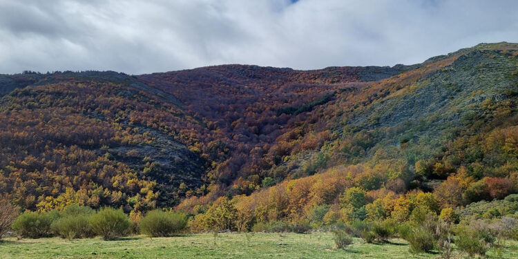 Castilla-La Mancha celebra la VI Semana de los Espacios Naturales Protegidos con actividades gratuitas y concursos para acercar la biodiversidad a la ciudadanía