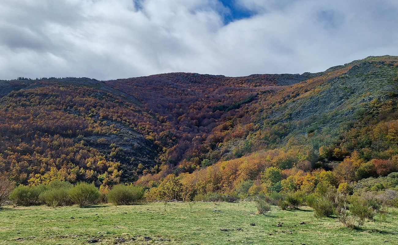 Castilla-La Mancha celebra la VI Semana de los Espacios Naturales Protegidos con actividades gratuitas y concursos para acercar la biodiversidad a la ciudadanía