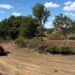Comienzan los trabajos de desbroce de cunetas y caminos rurales en el término municipal de Cabanillas