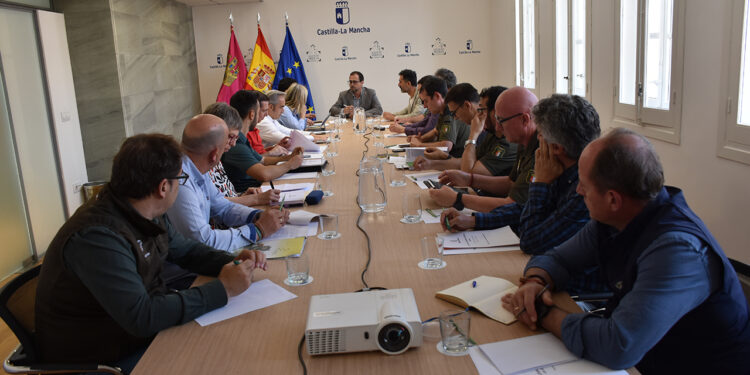 Cuenca refuerza la defensa del campo tras capturar 122.000 conejos y prepara ayudas para proteger cultivos