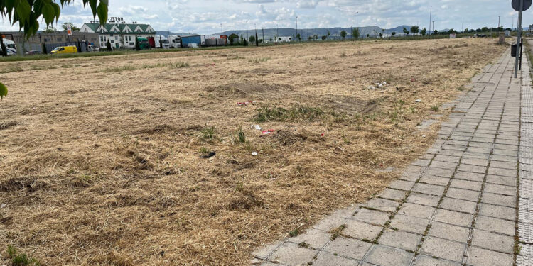 El Ayuntamiento de Azuqueca recuerda a los propietarios de parcelas que deben desbrozarlas 1 El Ayuntamiento de Azuqueca recuerda a los propietarios de parcelas que deben desbrozarlas