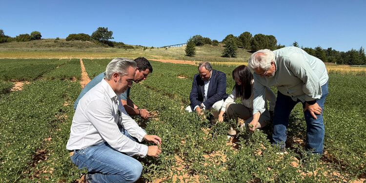 El centro conquense de Albaladejito reúne a 1.500 profesionales del campo y la Junta anuncia 5,4 millones en ayudas