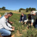 El centro conquense de Albaladejito reúne a 1.500 profesionales del campo y la Junta anuncia 5,4 millones en ayudas 3 El centro conquense de Albaladejito reúne a 1.500 profesionales del campo y la Junta anuncia 5,4 millones en ayudas