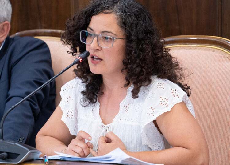 La Diputación de Guadalajara crea la Red Provincial de Apoyo a la Cooperación Internacional al Desarrollo