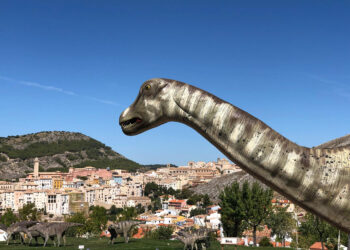 La Junta celebra el Día Internacional de los Museos con actividades en el Museo de Cuenca, el Museo de las Ciencias y el MUPA