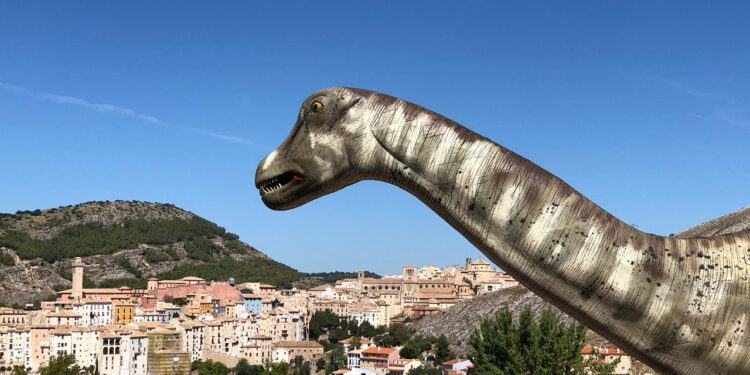 La Junta celebra el Día Internacional de los Museos con actividades en el Museo de Cuenca, el Museo de las Ciencias y el MUPA 1 La Junta celebra el Día Internacional de los Museos con actividades en el Museo de Cuenca, el Museo de las Ciencias y el MUPA