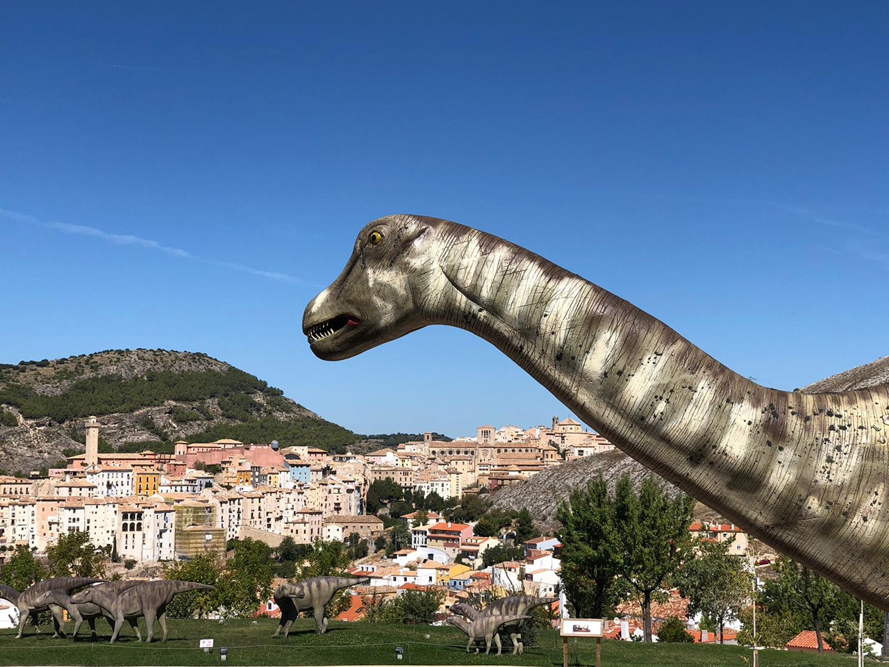 La Junta celebra el Día Internacional de los Museos con actividades en el Museo de Cuenca, el Museo de las Ciencias y el MUPA