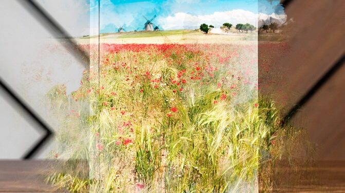 La Junta renueva un catálogo interactivo para reforzar la proyección nacional de las obras literarias de Castilla-La Mancha 1 La Junta renueva un catálogo interactivo para reforzar la proyección nacional de las obras literarias de Castilla-La Mancha