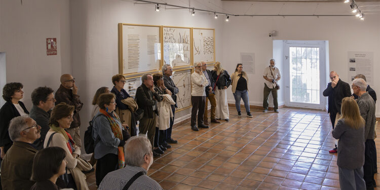 La Fundación Antonio Pérez (FAP) inaugura este viernes, 8 de mayo de 2026, a las 18:45 horas, la exposición "Pablo Palazuelo. Un goce inscrito" en su Centro de Arte Contemporáneo, situado en la calle Julián Romero de la capital conquense. La muestra está comisariada por el crítico de arte Alfonso de la Torre y se lleva a cabo en colaboración directa con la Fundación Pablo Palazuelo. Considerado uno de los principales referentes internacionales del arte abstracto español de la segunda mitad del siglo XX, Pablo Palazuelo (1915-2007) es el protagonista de esta selección compuesta por trece obras representativas de su etapa de madurez. Los asistentes podrán contemplar nueve pinturas de gran formato, tres esculturas y uno de los últimos dibujos realizados por el artista madrileño. A través de piezas pertenecientes a series destacadas como "Red", "Circino" o "De Somnis", la exposición permite profundizar en un universo formal marcado por la continua exploración de líneas, signos y estructuras geométricas. Contexto y evolución cultural La llegada de la obra de Palazuelo a la capital conquense apuntala el intenso calendario que la Fundación Antonio Pérez ha desarrollado recientemente en la región para enriquecer su oferta artística. En los primeros meses de este 2026, la institución ha dinamizado su red provincial con hitos como la celebración del 20 aniversario de su Museo de Obra Gráfica en San Clemente el pasado febrero, y con la apertura de nuevas muestras temporales en sus espacios de Cuenca, Huete y Sigüenza. Esta gran apuesta por una figura histórica del arte contemporáneo nacional da continuidad al esfuerzo reciente de la FAP por ofrecer exposiciones de alto nivel, sumándose a las recientes propuestas gráficas inauguradas en abril en la sede sanclementina. Con la incorporación del trabajo de Palazuelo a su sede principal, la Fundación consolida la trayectoria de crecimiento de los últimos años, una dinámica que le ha permitido superar la cifra de 35.000 visitantes anuales en el conjunto de sus centros de arte