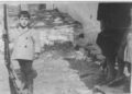 La memoria rural a través del objetivo: 14 años de tradición llegan a la Feria de Fotografía de Guadalajara