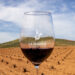 Madridejos (Toledo) acogerá el Día Vino DO 2026 promovido por los vinos de La Mancha