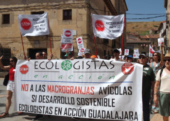 Maranchón da luz verde a la macrogranja de Turmiel y desoye el clamor vecinal por el río Mesa
