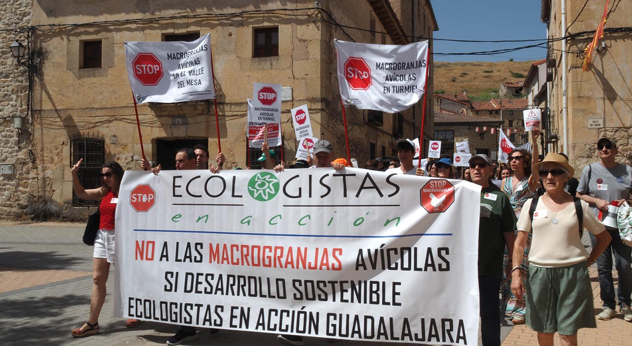 Maranchón da luz verde a la macrogranja de Turmiel y desoye el clamor vecinal por el río Mesa