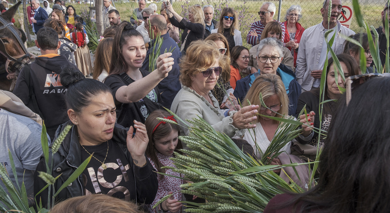 Miguel Óscar Aparicio: "La Fiesta de la Espiga reivindica el pasado de una Azuqueca que mantiene la vista puesta en el presente y en el futuro" 2 Miguel Óscar Aparicio: "La Fiesta de la Espiga reivindica el pasado de una Azuqueca que mantiene la vista puesta en el presente y en el futuro"