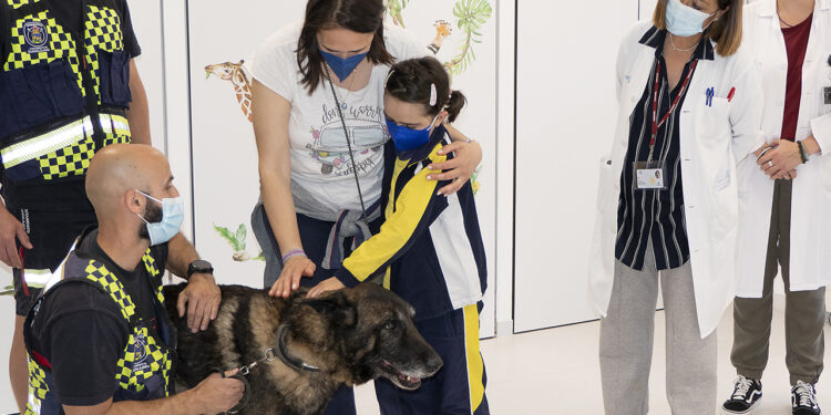 Peques y mayores del Hospital de Guadalajara conocen la labor de los perros de rescate con los miembros de la Unidad Canina de Guadalajara 1 Peques y mayores del Hospital de Guadalajara conocen la labor de los perros de rescate con los miembros de la Unidad Canina de Guadalajara