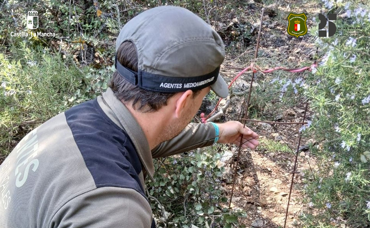 Retiran lazos de caza ilegales en la provincia de Guadalajara que ponían en grave riesgo a la fauna silvestre