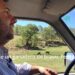 Pedro Miota. Didáctica de un ganadero de bravo en Cuenca