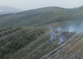 Un incendio de monte bajo en Palancares de Tamajón moviliza a cerca de treinta efectivos