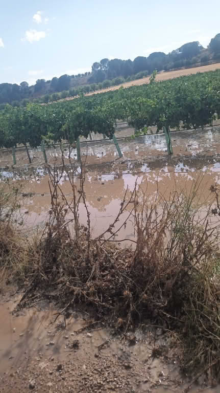 El granizo arrasa cientos de hectáreas de cultivo en Cuenca y provoca desprendimientos en la Serranía