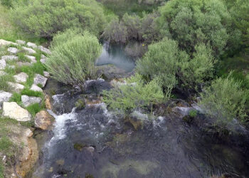 Documental. La Reserva Natural Fluvial del Arroyo Almagrero