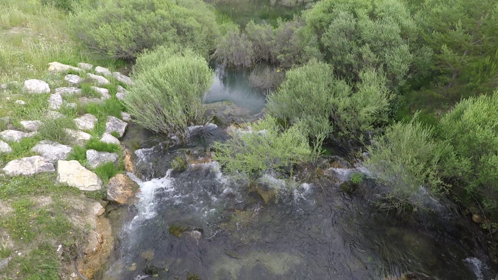 Documental. La Reserva Natural Fluvial del Arroyo Almagrero
