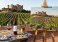 Belmonte acogerá el VII Concurso de Pintura Rápida ‘Vinos de La Mancha’