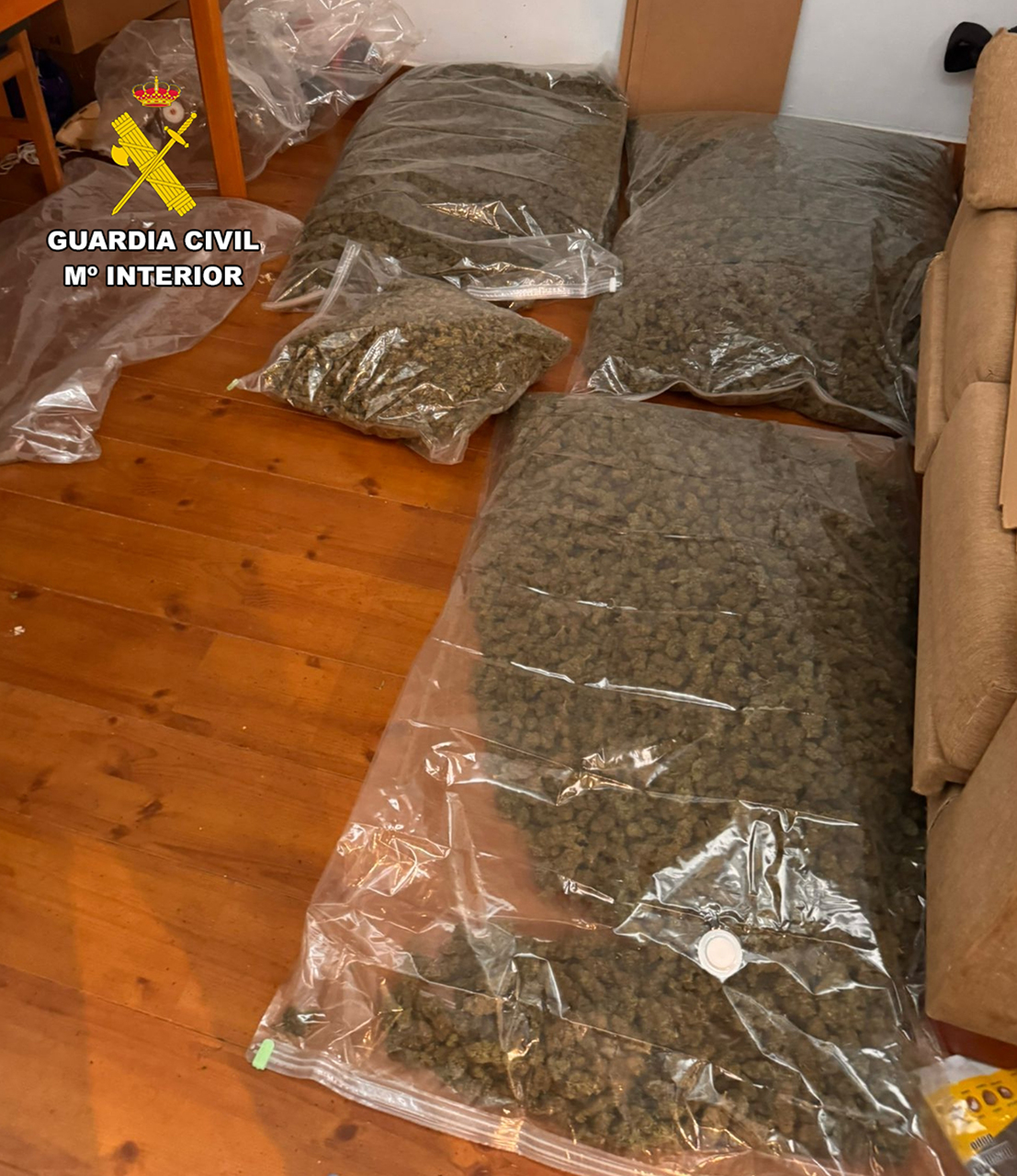Desmantelado un centro de procesado y envío de marihuana por paquetería en una urbanización de El Pozo de Guadalajara