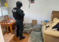 Desmantelado un centro de procesado y envío de marihuana por paquetería en una urbanización de El Pozo de Guadalajara