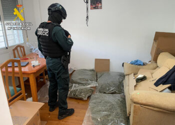 Desmantelado un centro de procesado y envío de marihuana por paquetería en una urbanización de El Pozo de Guadalajara
