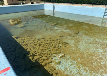 El PP de Pioz denuncia el estado de abandono de la piscina municipal a pocos días de su apertura 2 El PP de Pioz denuncia el estado de abandono de la piscina municipal a pocos días de su apertura